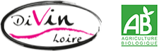 Logo Divin Loire