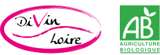 Logo Divin Loire