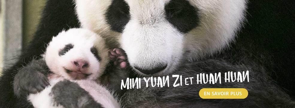 Zoo de Beauval