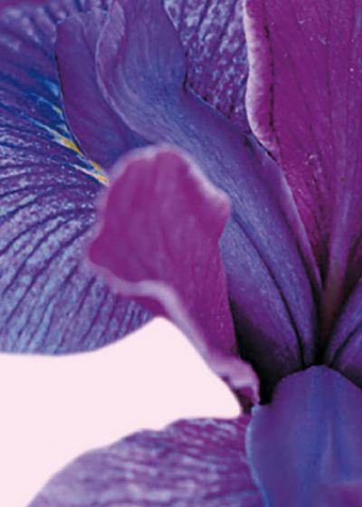 festival des jardins de chaumont-sur-loire