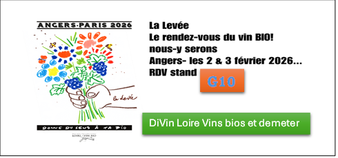 La lev&eacute;e de la Loire Angers 2026 G10